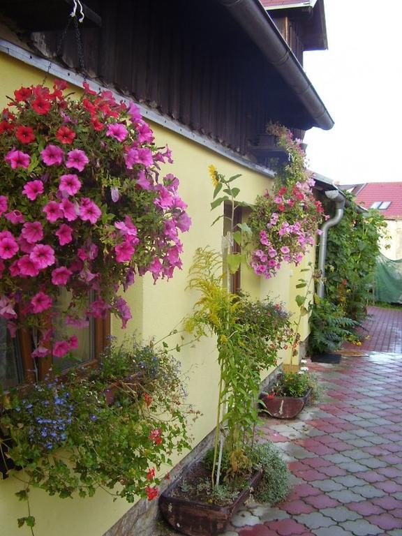 Penzion Many Peny Jindrichuv Hradec Exterior photo