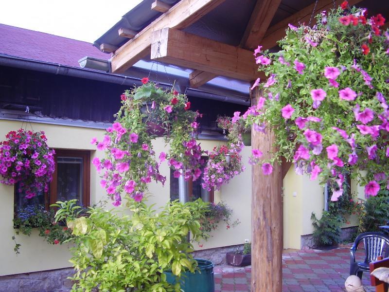 Penzion Many Peny Jindrichuv Hradec Exterior photo