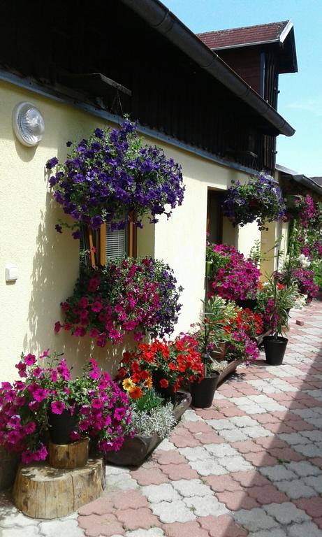 Penzion Many Peny Jindrichuv Hradec Exterior photo